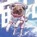 the-puggonaut avatar