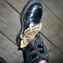 the-purple-duck avatar