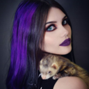 the-quinn-of-crime avatar