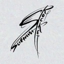the-rocket-scientist avatar