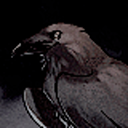 the-rowdy-raven avatar