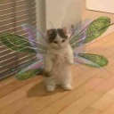 the-slutty-fairy avatar