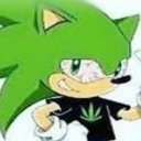 the-spider-haven avatar