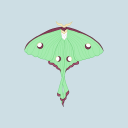 the-spooky-arts avatar