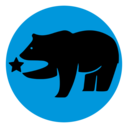 the-star-bear avatar