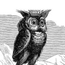 the-superb-owl avatar