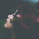 the-traveling-witch avatar