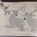 the-victim-hunter avatar