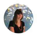 the-wandering-rose avatar