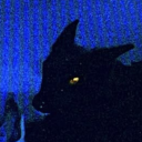 the-were-hound avatar