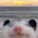 the-whumpening avatar