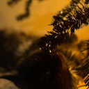 the-winchesters-wear-prada avatar