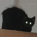 the-wizard-of-hijinks avatar