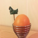 the-wondrous-imaginator avatar