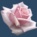 the-world-strange avatar