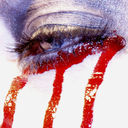 the-xxx-files avatar