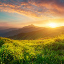 theadrenalinator9000-inactive avatar