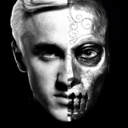 thealbinoferret avatar