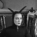 theanonymousarmadillo avatar