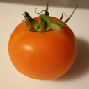 theants-are-myfriends avatar