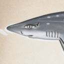 thearchivalist avatar