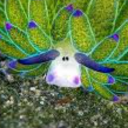 theartofinattention avatar