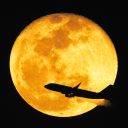 theatrebugstuff avatar