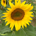 theatrekidding avatar