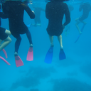 theawesomenessa avatar