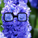 thebespectacledhyacinth avatar