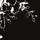 thebestdamndays avatar