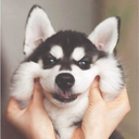 thebestdemigod avatar