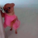 thebigbadwolfgirl avatar