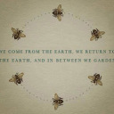 thebirdsandthelullabies avatar