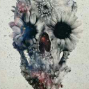 thebitterdarkness avatar