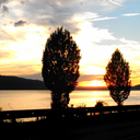 theblinkinggirl avatar