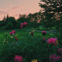 thebloggityblog avatar