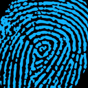 thebluemantis avatar