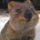 theboggyman-blog avatar