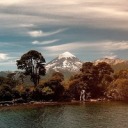 theboywhosimmed avatar