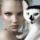 thecatwalkcats-blog avatar