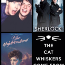 thecatwhiskerscomefrom221b avatar