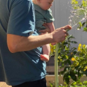 thechimericalwriter avatar