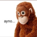 thecircusofsorrows avatar