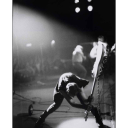 theclashlover avatar