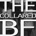 thecollaredbf-blog avatar