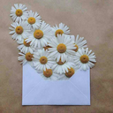 thecolorsofhope avatar