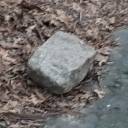 thecolourpurple123 avatar