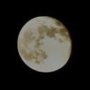 thecomplexitiesofmymind avatar