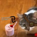 theconsequncesofcrationandlove avatar